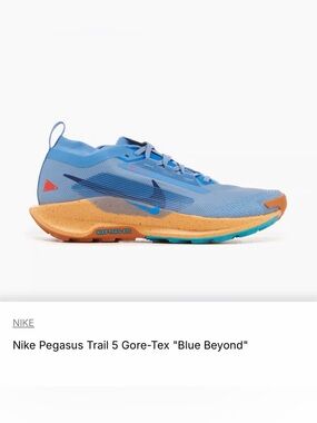 NIKE PEGASUS TRAIL ATC 5 GTX Men’s sz 10 Gore-Tex  All Terrain Running Shoes men